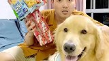 这根棒棒糖有点费啊
