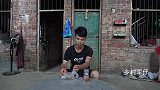夏天家里苍蝇多？农村小伙有简单妙招，苍蝇来一只灭一只