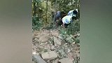 【江西】赣州一小车失控坠崖 车上4人因系安全带躲过一劫