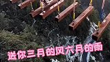 玩转高空项目品味人生百态