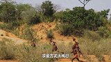 非洲古老的原始部落，女性忍痛享受求爱方式，太残忍了