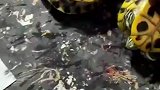 明明转到钓鱼，结尾不对劲儿