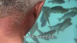 老外进入笼子侵入鳄鱼池，倘若被鳄鱼攻击该怎么办？结果让人意外