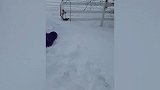 小女孩很大胆，尝试从雪堆滑下来，下一秒画风就突变！