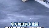 北极熊给大家演示，如何安全的穿越薄冰