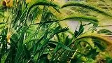 或许，最美的事不是留住时光，而是留住记忆