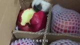 大爷为了拍个照片，狗都快没命了你是真狗啊