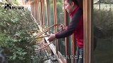 男子家的驴不见了，6天后被发现时，已是这幅模样