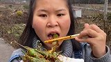 农村吃货柴火辣椒，辣的不要不要的