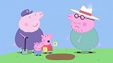 小猪佩奇：佩奇的小花园，需要猪爸的照看，你不能偷懒哦