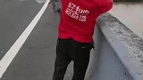 大爷桥上抛网，鱼太多拉不上来