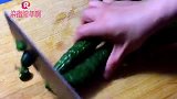 黄瓜超级下饭做法，配料毫无保留告诉你，清脆爽口，再也不用买了