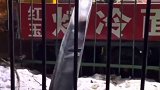 没有什么能阻挡宵夜！大学校园封闭，小贩自带滑道照样卖冷面   当时就震惊了
