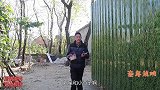 爸爸吃“滴答糖”变成了僵尸，还追着要吃小燕子和刘星，太搞笑了
