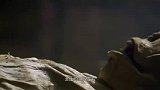 宋代夫妻墓里的S尸至今都没腐烂？究竟是谁动了手脚