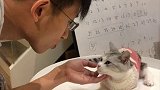 我尽力了..真的斗不过它.. 萌宠