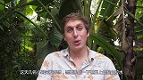 小哥挑战世上最黏的胶水，你猜结局会怎样呢？看完后笑出了腹肌！