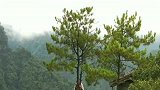 奇峰上一位高人在此修行，你看这身轻如燕的功夫，真是太厉害了