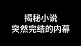 你都遇到过哪些奇葩的完结剧情？