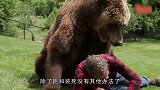 外国大叔把头伸进熊嘴里，熊却一动不动，网友可能他没洗头
