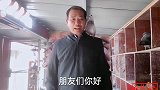 集鸽前鸽子的嗉囊摸到一粒粮食就必输无疑？集鸽当天能喂粮食吗