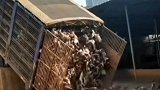 司机也太狠心了吧