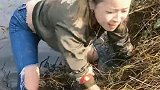 小姐姐水洞中抓黄鳝，痛的嗷嗷直叫，拿出一看竟然是它咬的