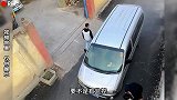 卧龙凤雏都懵圈了，主打一个你看不到我！