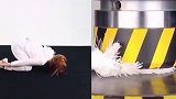 厉害啊小姐姐