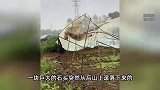 台风“蝴蝶”过境广东，1人高巨石砸穿民房，老人早起躲过一劫！