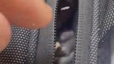 父亲留下的包，不发财不让我打开，不听劝又要多养活一张嘴