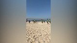 申花全队玩起网式足球 莫雷诺钱杰给享受假期