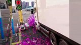 小乌龟真厉害病毒都敢吃