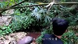 地下冒出一个马头，难道有人杀马藏尸？将其挖出来才舒了口气！