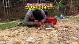 流浪狗倒在垃圾堆里，奄奄一息