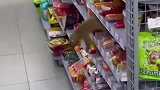 难怪超市总是少东西，背后的真相，竟是这样