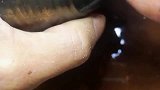 快要失传的手艺活，焗瓷只针对瓷器传家宝