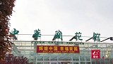 果然视频·壹览齐鲁春来赏兰花，临沂兰陵兰花盛放迎客