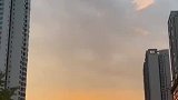 夕阳无限好!女子用手机拍下美丽夕阳,竟致小狗生无可恋?