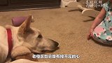 大熊猫第一次当妈，整日“生无可恋”的表情，熊猫：救救孩子吧！