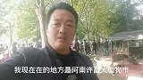 国内大型狗市许昌，也是名犬聚集的地方，各有千秋，深藏不露！