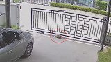 惯犯！泰国一宠物乌龟反复推开大门逃跑