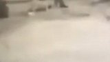 凌晨他跟两条狗吵了一架 吵输了还委屈报警求助说“狗太凶了”