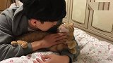 猫咪跟儿子感情太好，妈妈时不时都要吃醋：太扎心了