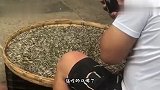 猫：你们压我脖子这事儿，我原谅不了你们