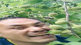 本以为是好东西，哥们一口下去后，瞬间后悔了