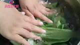教你香菇油菜的最新做法，出锅香到没朋友，我家来客就做它