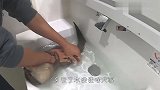 美洲狮怕水不敢游泳，铲屎官故意把它扔进水里，下一秒憋住别笑