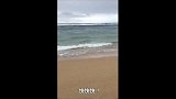 钓鱼时跑出一海狮，这是抢人饭碗吧