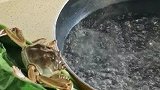 螃蟹我真是受够了，我自己来！
